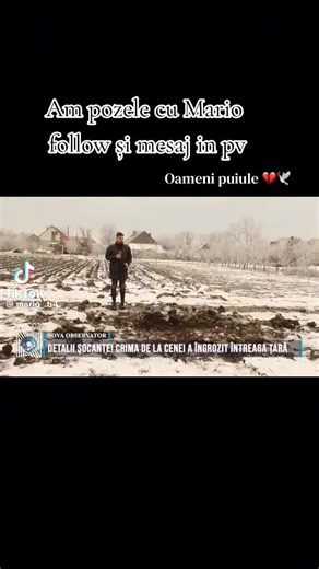 #capcut #foryoupagе #mario #ripmario