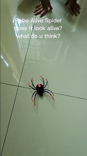 Robo Alive Spider#spider#creepycrawlies