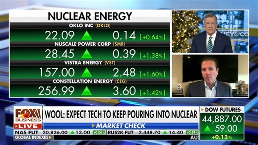 Market expert reveals why these small modular reactor stocks are 'exciting'