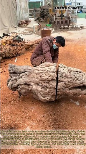 Transforming a Discarded Tree Root into a Masterpiece: Process Teak Roots to Make Carving Art