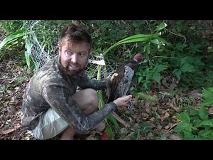 Small Animal Netgun - Wild Turkey Capture