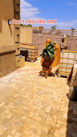 6 comments | Why you Dey run na | Thani NaNa | Facebook