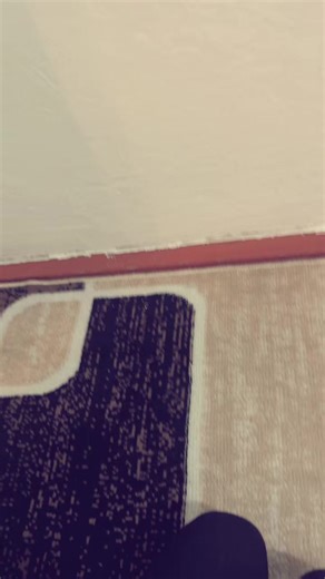 𝓟𝓪𝓷𝓭𝓪🤍 (@panda.white.44)’s videos with оригинальный звук - 𝓟𝓪𝓷𝓭𝓪🤍