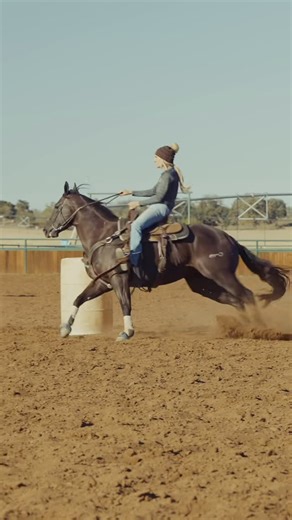 Reliance Ranches on Instagram: "Let’s watch her run! JM Fast Lane Tamoney is turning heads after a standout 4-year-old season in the team roping futurities and now she’s gearing up for her first full season on the barrel racing scene. Sired by The Goodbye Lane and out of Smart Pleasure by First Smart Money, Honey has the pedigree, the power, and the speed to back it up. One thing’s for sure: horses by The Goodbye Lane can absolutely fly. Stay up to date on Honey and the rest of the Reliance Ranc