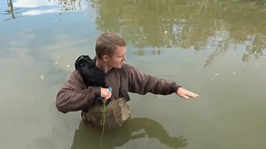First Ever PACK of Mink Hunting a SWARM of Muskrats! | Joseph Carter Minkman