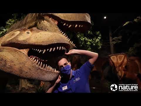 Highlights of Canada's First National Museum: A Guided Virtual Tour