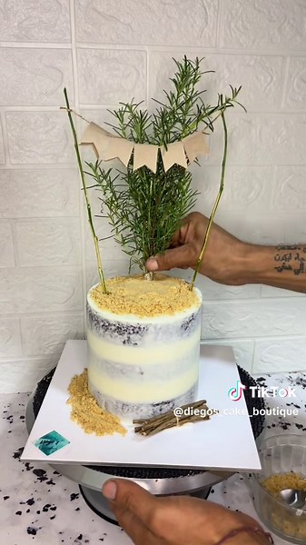 diegos.cake on TikTok