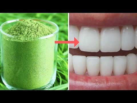 (WheatGrass for Teeth) GOLDEN SECRET HOW WHEATGRASS PREVENTS GUM DISEASE!