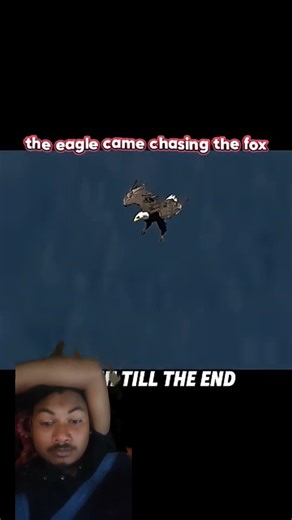 #birds #1fox #memes #edit #motivation #wildlife #phonkmusic #music #phonk #remix