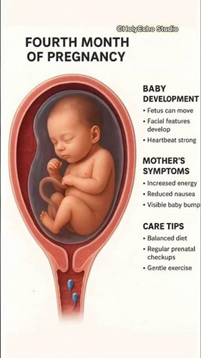 Fourth Month of Pregnancy 👶 | Baby Development, Symptoms & Care