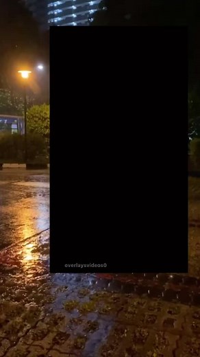 Captivating Rain Overlay Video with Free Edit Options