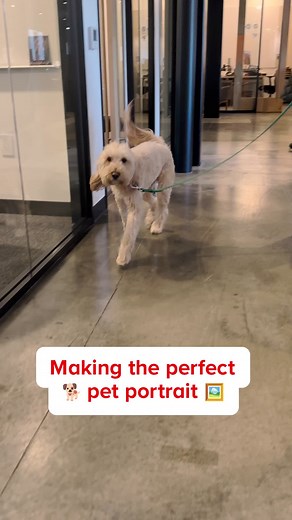 TikTok - Make Your Day