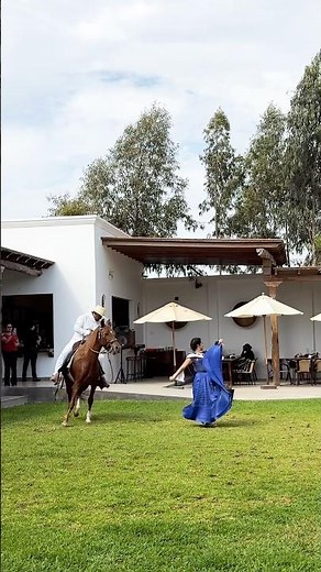 Peruvian Paso Horse & Marinera Dancer 🇵🇪🔥