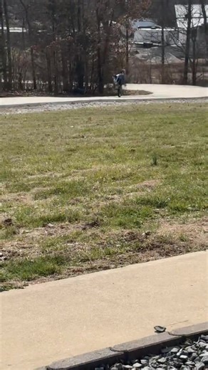 119.films (@119.films)’s videos with original sound - 119.films