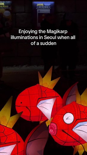 Discover Magikarp Illuminations in Seoul