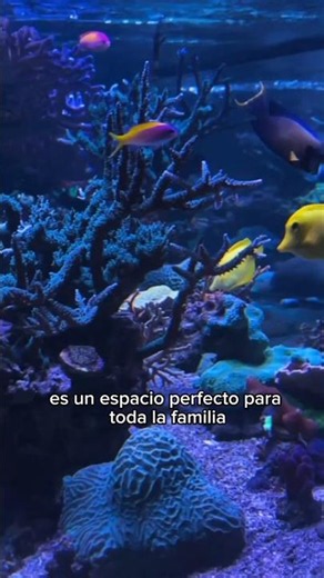 Valencia con niños: 4 planes imprescindibles