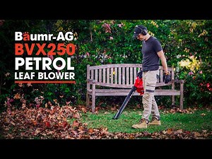 Baumr-AG BVX250 2-stroke Blower Vac
