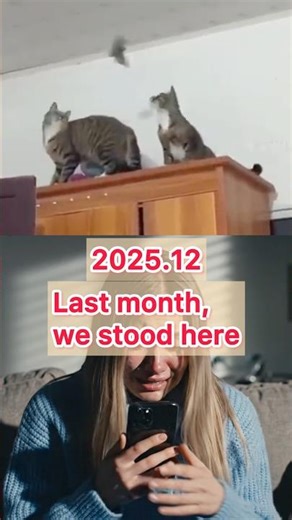 He smells the jar because he knows his brother is inside. 🌑#cat #sad #viral #shorts