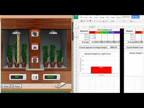 Photosynthesis Light Color Simulation Directions