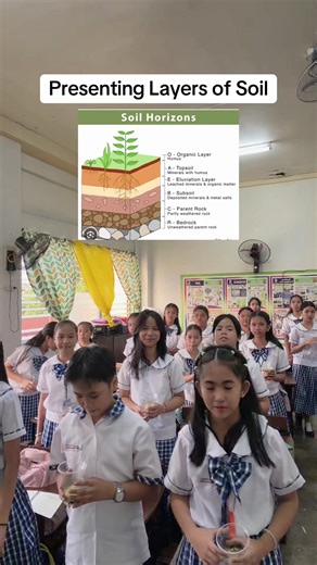 Understanding the 5 Main Layers of Soil
