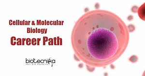 Cell & Molecular Biology Career Path - Job Prospects