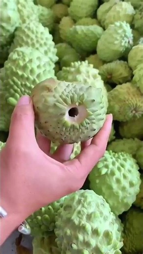 This food can make you healthy #food #healthyfood #healthy #fruit #fruits part230