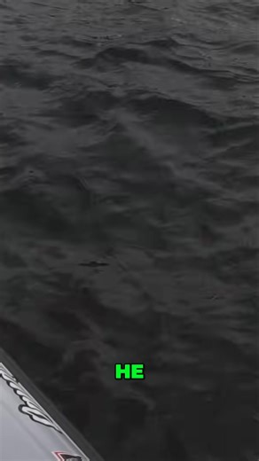 3.8K views · 40 reactions | Randy Pierson, felt the fish was real big as it pulled. It didn't look that big, but it felt good. The angler finally reels it in. #bassfishing #basstournament #bamtrail #bamsuper60 #fishing #angler | Bass Angler Magazine | Facebook