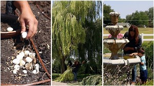 163K views · 10K reactions | Finding Quail Eggs and Trying to Save...