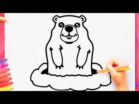comment dessiner une marmotte