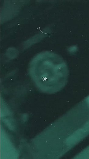 Sharp Dressed Man | Lyrics #ZZTop