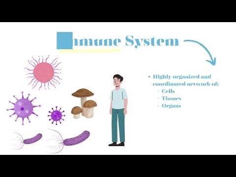 Introduction to the Immune System
