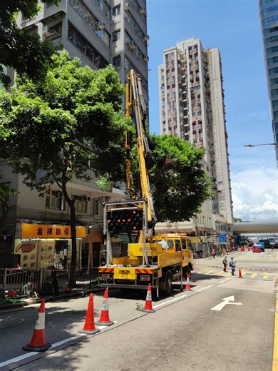Tree worker died in crane accident