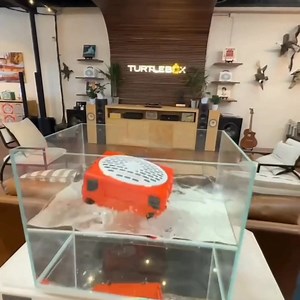 131K views · 58 reactions | Yes, it floats. Don’t believe us? See our latest film, "Lost at Sea." | Turtlebox | Facebook