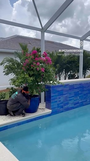 Potted plants by the pool. 🌺 Looking to upgrade your poolside landscaping? Contact us today for an estimate on your project! 🏡📱772-333-0161 #lopezgardendesign #treasurecoast #portstlucie #poollandscaping #pottedplants | Lopez Garden Designs Inc.