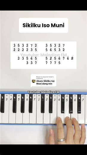 Sikilku Iso Muni #tutorial