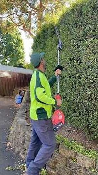 ✂️ Professional Hedge Trimming 🌱