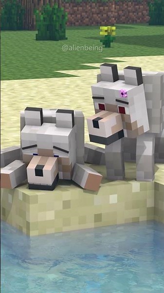 Wolf girl saves wolf boy - Minecraft Animation #shorts