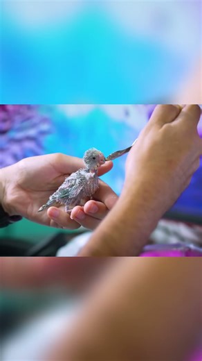 Baby Bird Care Secrets Revealed