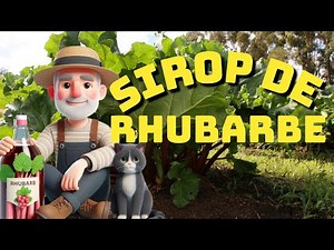 comment faire un sirop de rhubarbe maison - recette facile