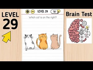 Brain Test Level 29 Which Cat Is On The Right?