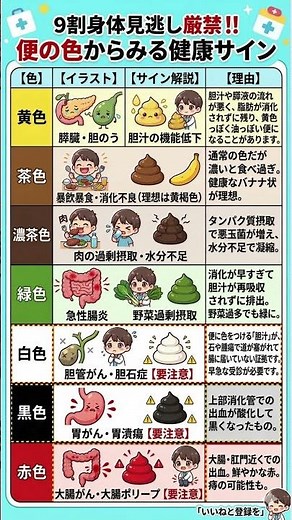 【放置厳禁】便の色でわかる内臓の病気サイン｜白・黒・赤は要注意！9割が見逃している「お通じ」の真実