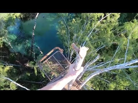 The Ultimate Tree Jump!