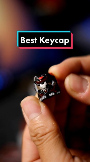 GiaoHeo Studio trên TikTok