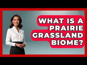 What Is A Prairie Grassland Biome? - The Geography Atlas