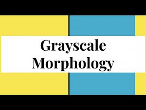 Grayscale Morphology