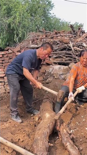 Couple Teamwork: Wood Splitting Craft & Tips