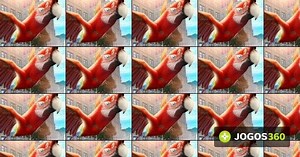 Parrot Simulator no Jogos 360