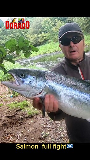 Salmon Fishing Tips and Techniques for River Anglers