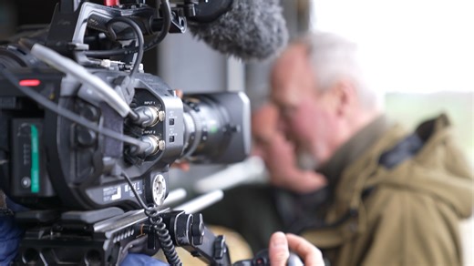 Our cow Coco appears on the big telly tonight when she gives birth to the most beautiful calf...but what goes on behind the scenes when we are filming an episode of Springtime on the Farm? Don't forget to tune in tonight 8pm, Channel 5 for the last episode of the season. | Cannon Hall Farm