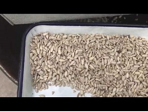 Julite sunflower seed dehulling and cleaning plant